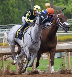 horse race betting in indonesia